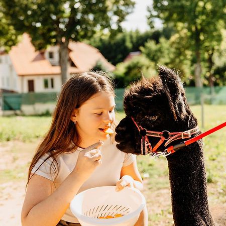 Gospodarstwo Agroturystyczne Z Basenem & Spa I Alpakami Ełk Dış mekan fotoğraf