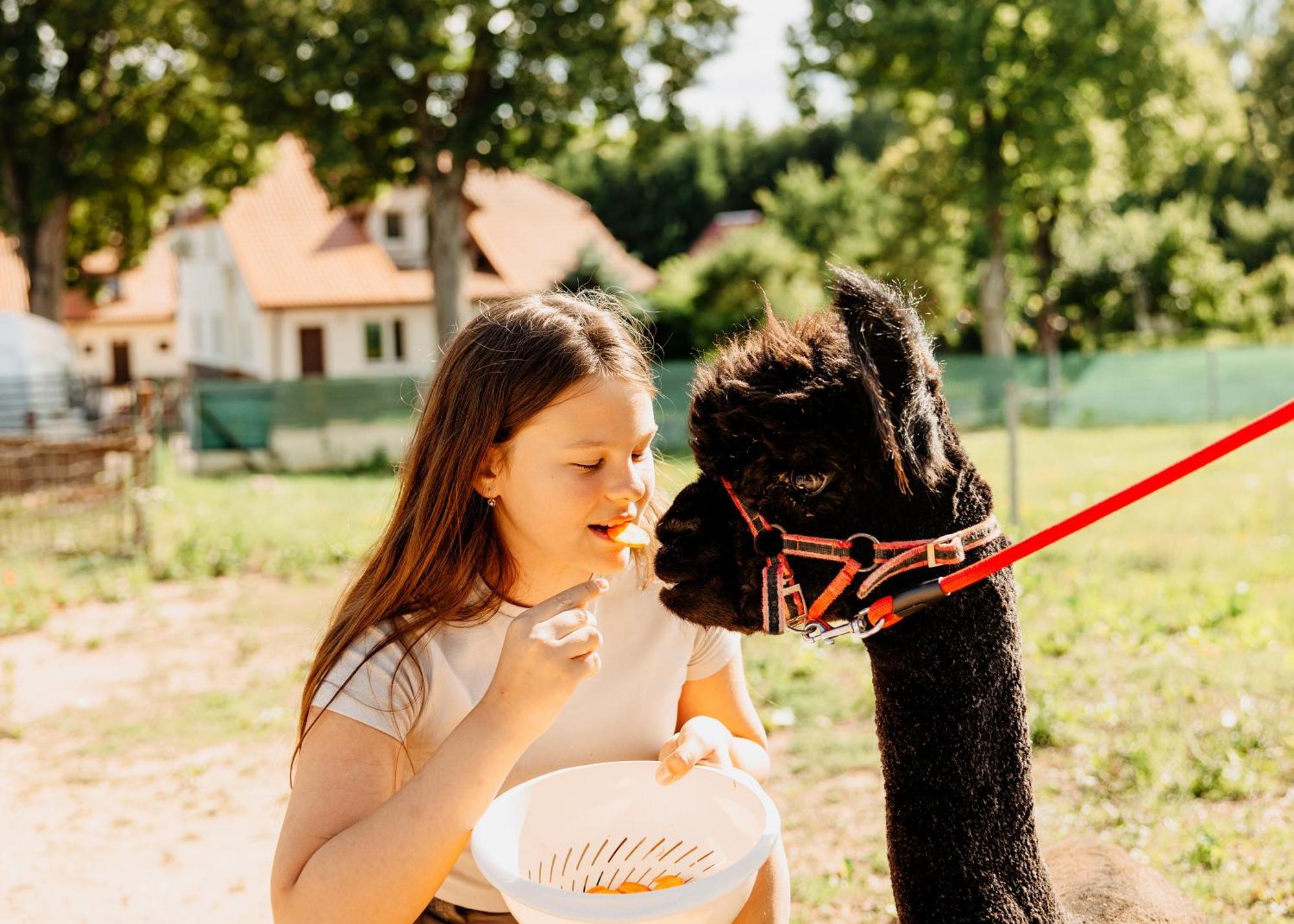 Gospodarstwo Agroturystyczne Z Basenem & Spa I Alpakami Ełk Dış mekan fotoğraf